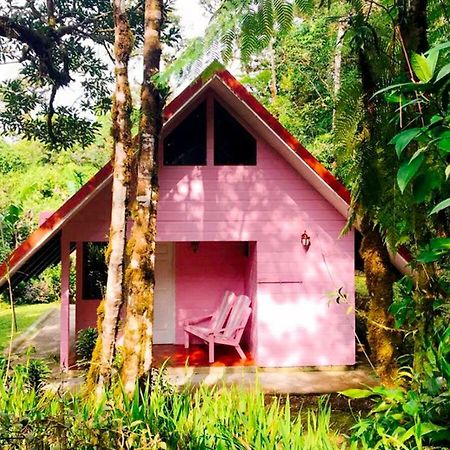 Cabanas Las Orquideas Zapotal  المظهر الخارجي الصورة