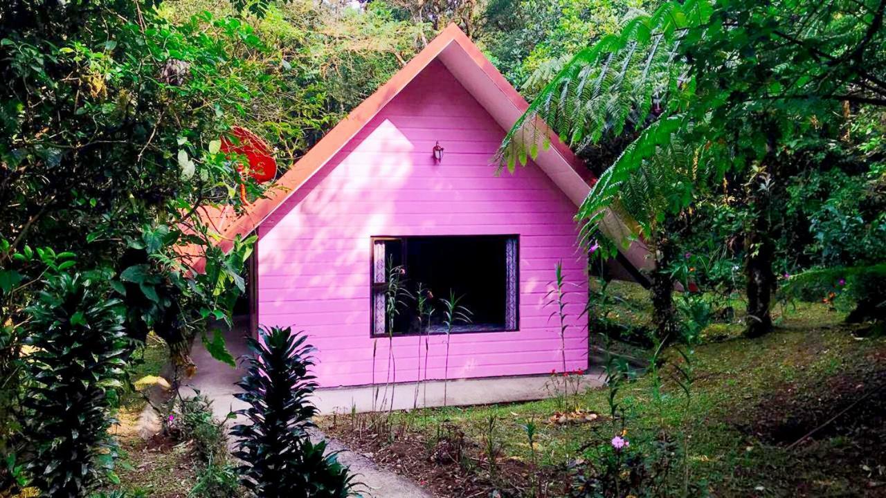 Cabanas Las Orquideas Zapotal  الغرفة الصورة