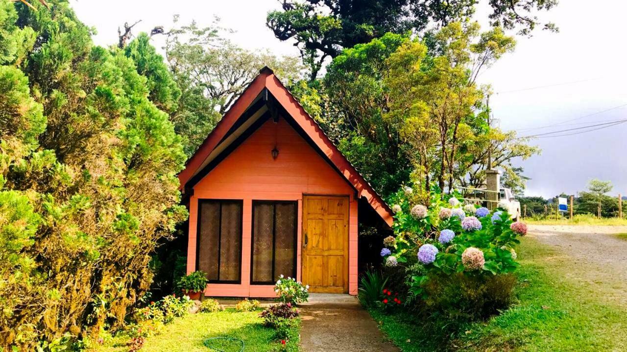 Cabanas Las Orquideas Zapotal  الغرفة الصورة