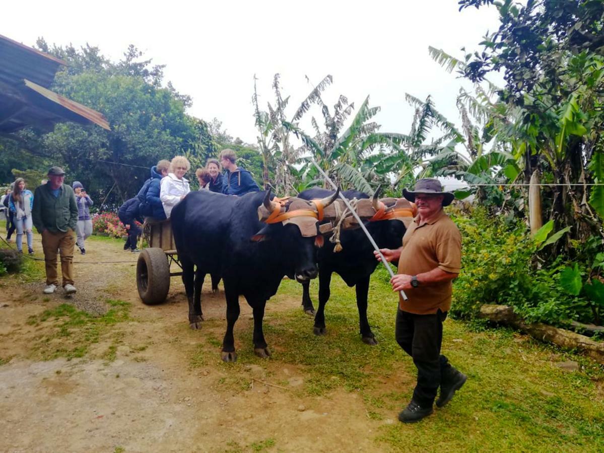 Cabanas Las Orquideas Zapotal  المظهر الخارجي الصورة