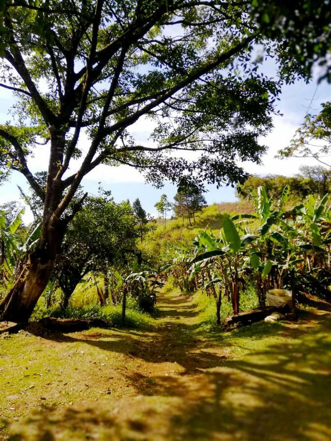 Cabanas Las Orquideas Zapotal  المظهر الخارجي الصورة