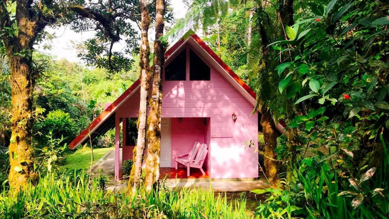 Cabanas Las Orquideas Zapotal  المظهر الخارجي الصورة