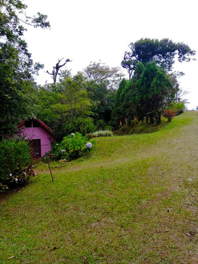 Cabanas Las Orquideas Zapotal  المظهر الخارجي الصورة