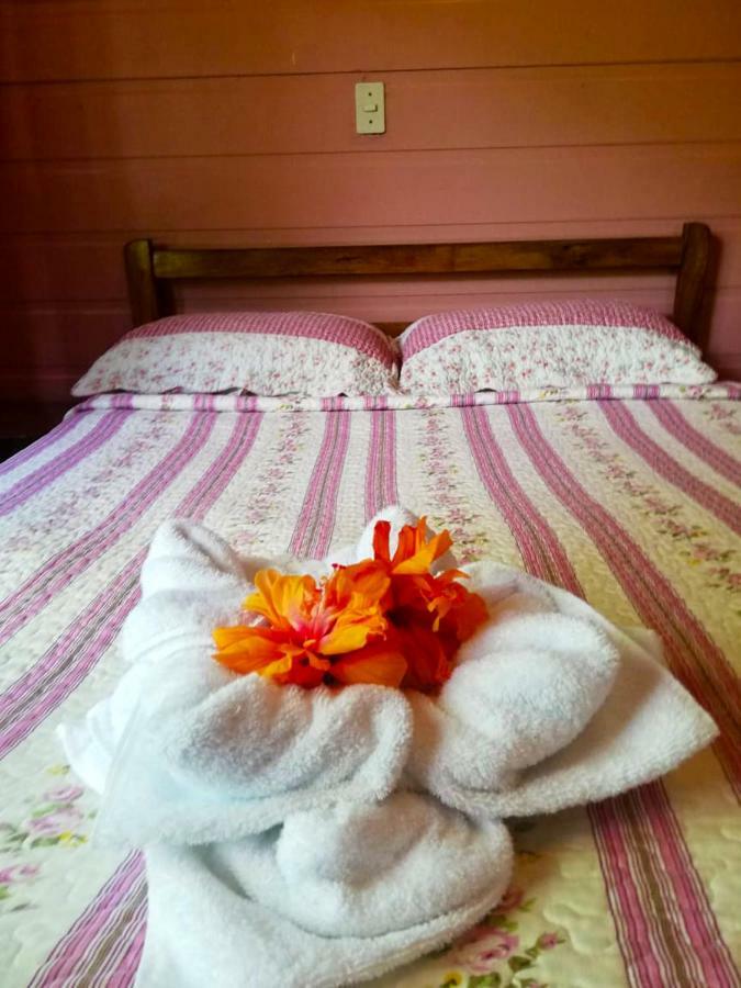 Cabanas Las Orquideas Zapotal  المظهر الخارجي الصورة