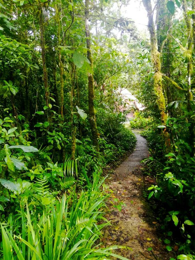 Cabanas Las Orquideas Zapotal  المظهر الخارجي الصورة