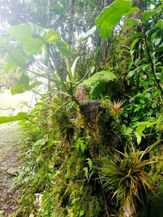Cabanas Las Orquideas Zapotal  المظهر الخارجي الصورة